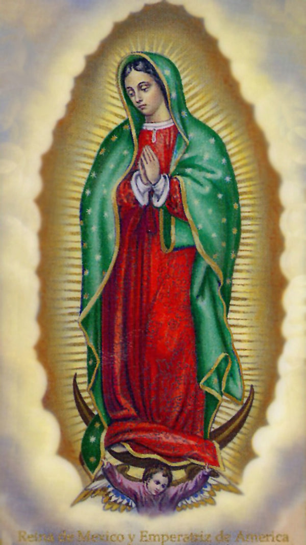 Magnificat (Spanish) A - LAMINATED HOLY CARDS- QUANTITY 25 PRAYER CARDS