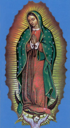 Novena to Our Lady of Guadalupe A - LAMINATED HOLY CARDS- QUANTITY 25 PRAYER CARDS