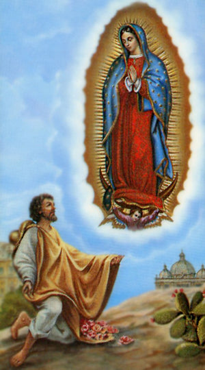 Oracion a La Virgen Santisima de Guadalupe A - LAMINATED HOLY CARDS- QUANTITY 25 PRAYER CARDS