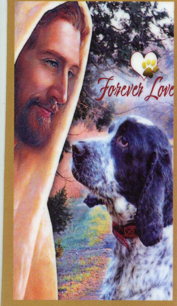 Prayer for the Loss of Your English Springer Spaniel U - LAMINATED HOLY CARDS- QUANTITY 25 PRAYER CARDS