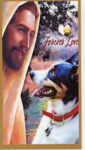 Prayer for the Loss of Your Australian Cattle Dog U - LAMINATED HOLY CARDS- QUANTITY 25 PRAYER CARDS