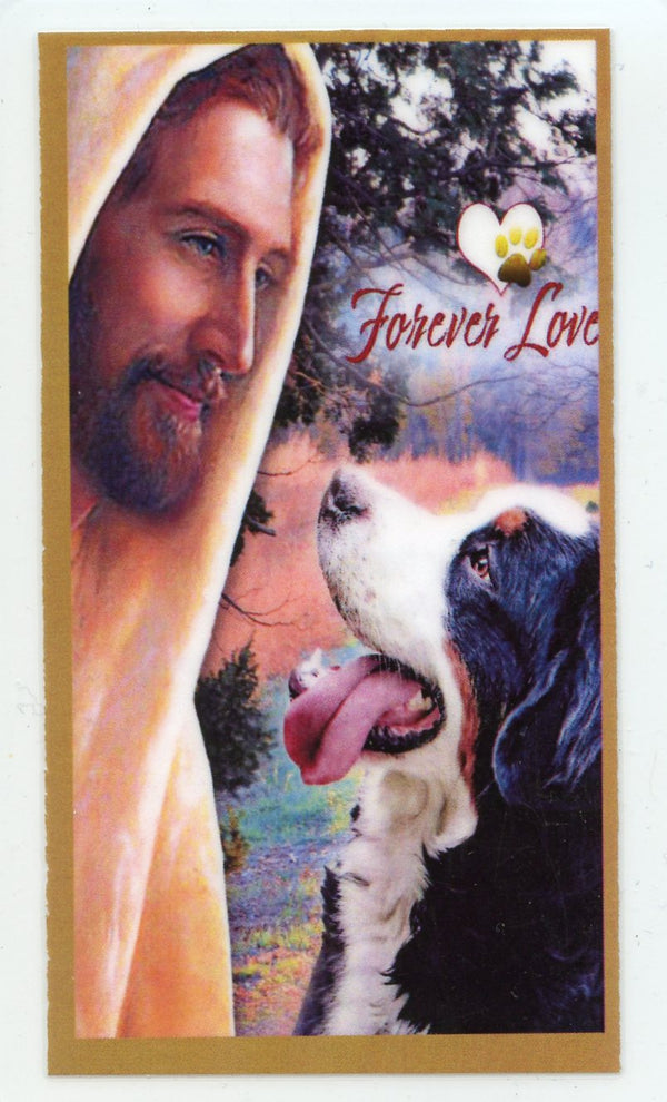 Prayer for the Loss of Your Bernese U - LAMINATED HOLY CARDS- QUANTITY 25 PRAYER CARDS