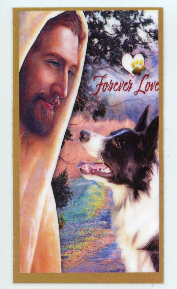 Prayer for the Loss of Your Border Collie U - LAMINATED HOLY CARDS- QUANTITY 25 PRAYER CARDS