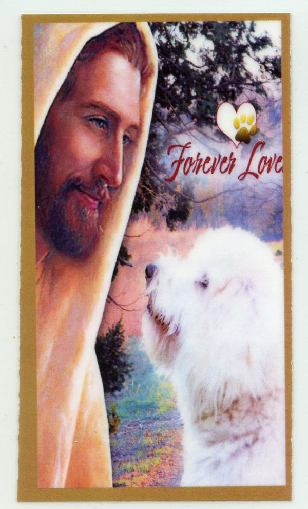 Prayer for the Loss of Your Goldendoodle U - LAMINATED HOLY CARDS- QUANTITY 25 PRAYER CARDS