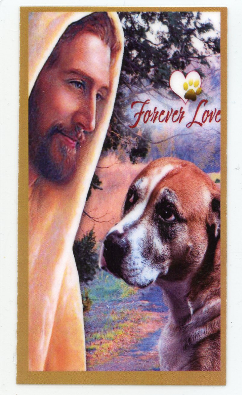 Catholic Boxer Prayer for the Loss of Your Boxer U - LAMINATED HOLY CARDS- QUANTITY 2 ...