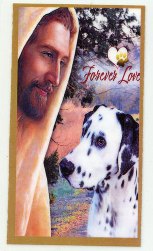 Prayer for the Loss of Your Dalmation U - LAMINATED HOLY CARDS- QUANTITY 25 PRAYER CARDS