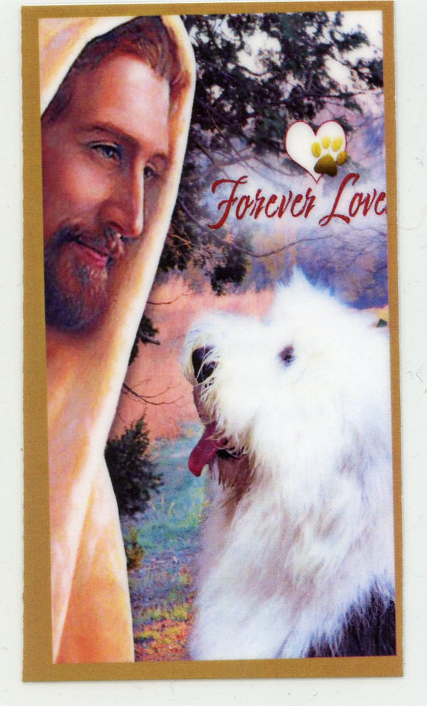 Prayer for the Loss of Your English Sheep Dog U - LAMINATED HOLY CARDS- QUANTITY 25 PRAYER CARDS