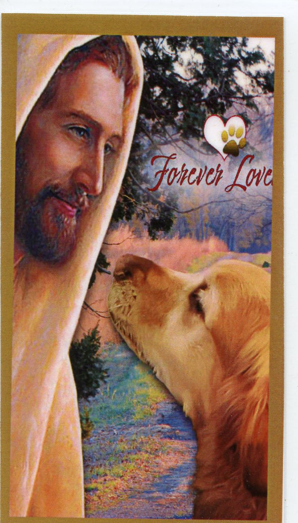 Prayer for the Loss of Your Golden Retriever U - LAMINATED HOLY CARDS- QUANTITY 25 PRAYER CARDS