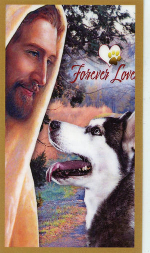 Prayer for the Loss of Your Husky U - LAMINATED HOLY CARDS- QUANTITY 25 PRAYER CARDS