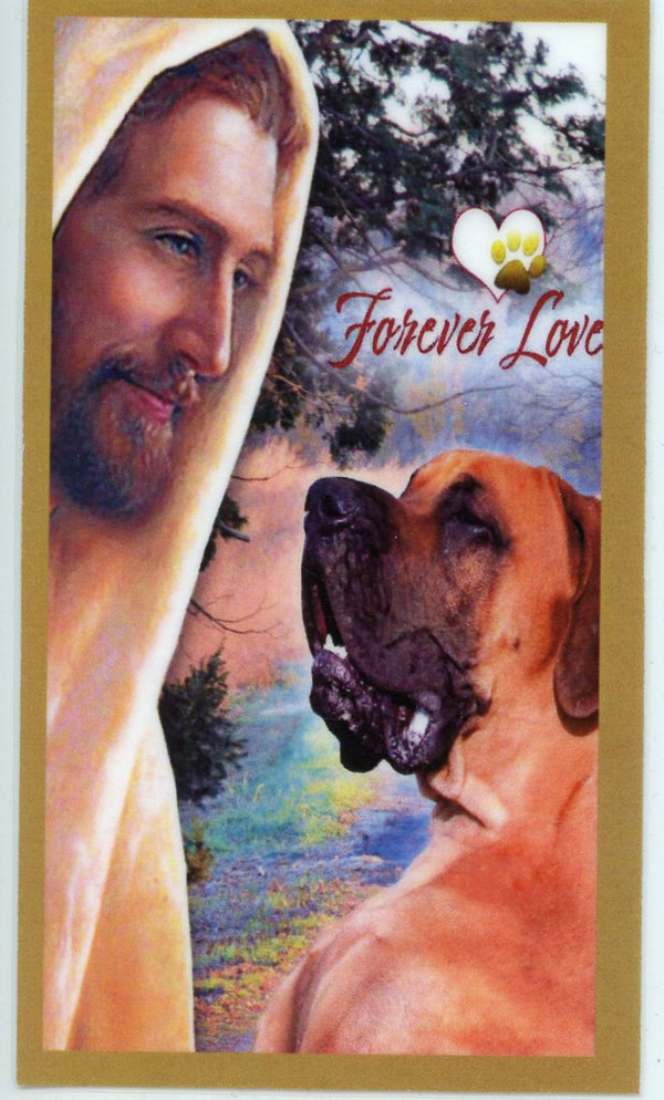 Prayer for the Loss of Your Great Dane U - LAMINATED HOLY CARDS- QUANTITY 25 PRAYER CARDS