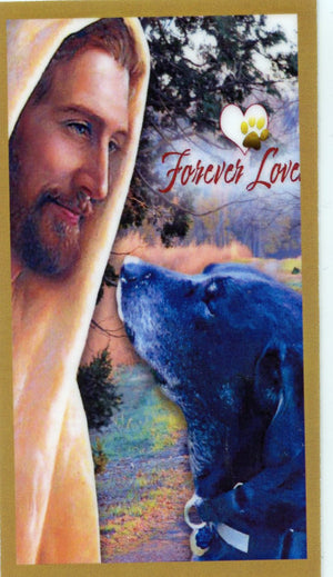 Prayer for the Loss of Your Black Lab U - LAMINATED HOLY CARDS- QUANTITY 25 PRAYER CARDS