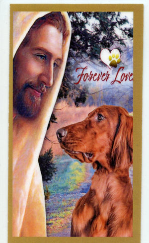 Prayer for the Loss of Your Irish Setter U - LAMINATED HOLY CARDS- QUANTITY 25 PRAYER CARDS