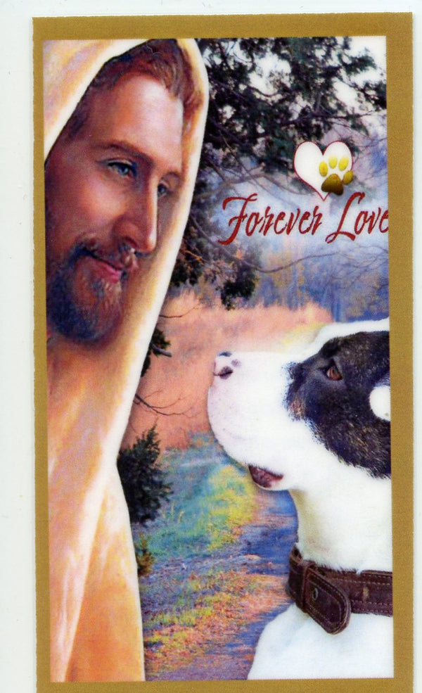 Prayer for the Loss of Your Pitbull U - LAMINATED HOLY CARDS- QUANTITY 25 PRAYER CARDS