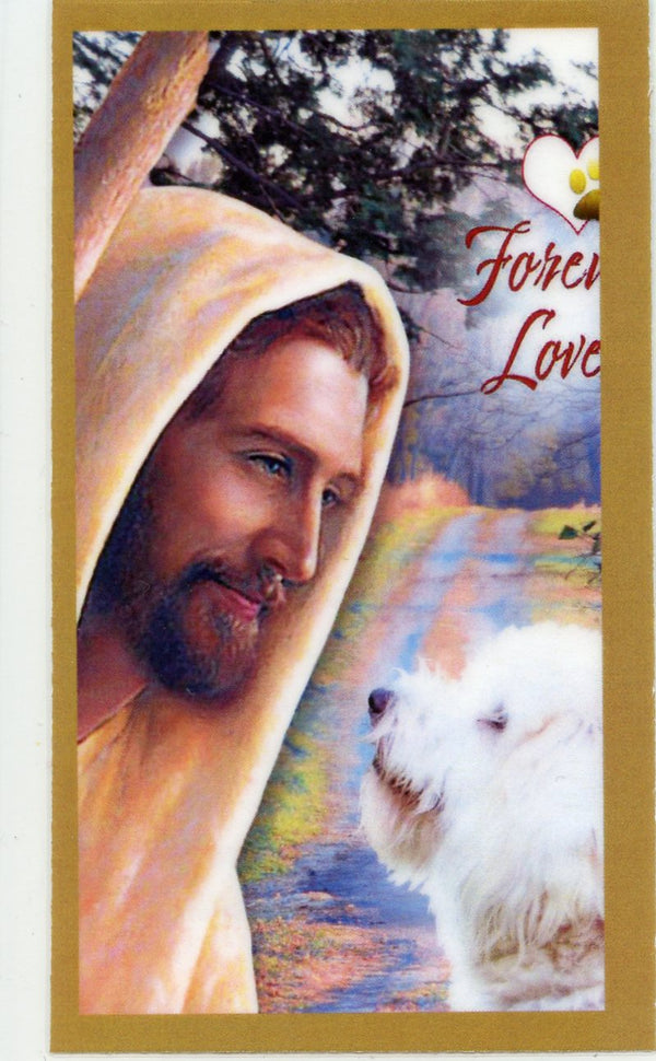 Prayer for the Loss of Your Poodle U - LAMINATED HOLY CARDS- QUANTITY 25 PRAYER CARDS