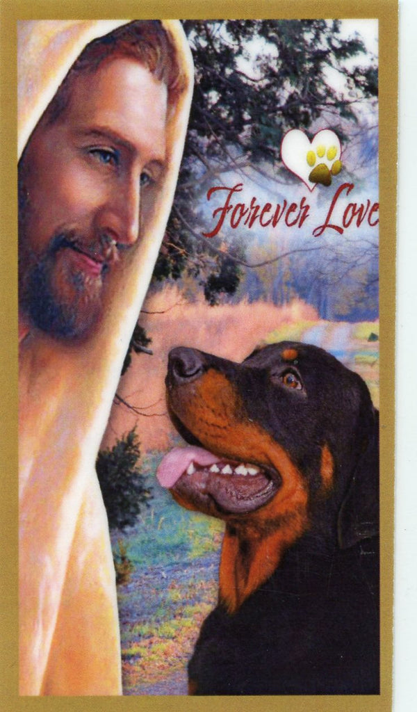 Prayer for the Loss of Your Rottweiler U - LAMINATED HOLY CARDS- QUANTITY 25 PRAYER CARDS