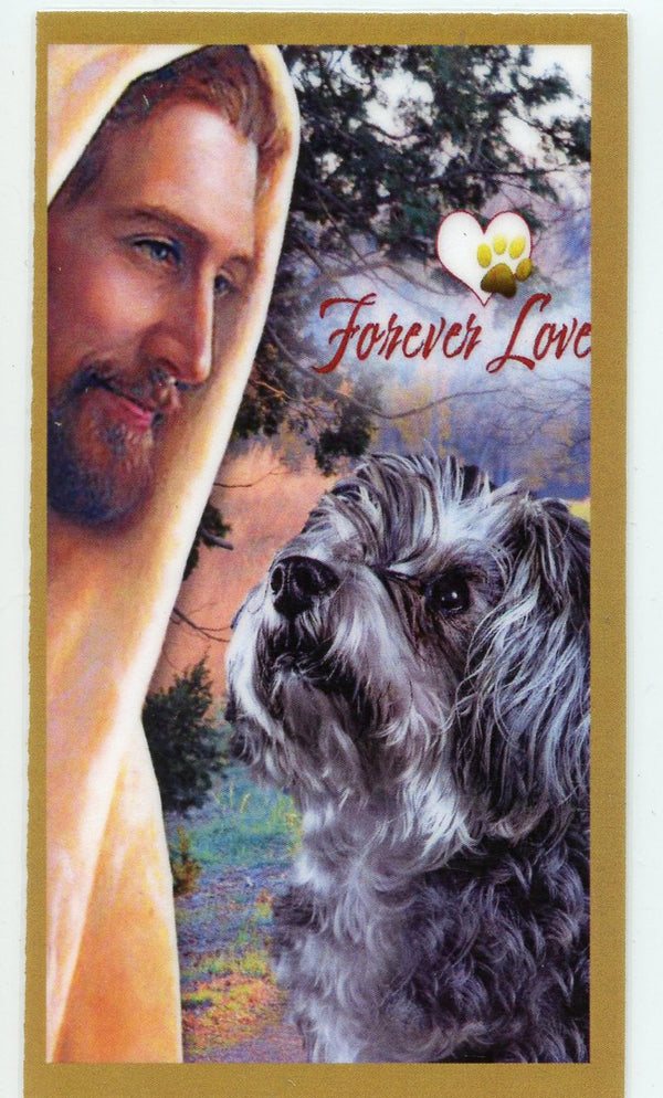 Prayer for the Loss of Your Schnauzer U - LAMINATED HOLY CARDS- QUANTITY 25 PRAYER CARDS