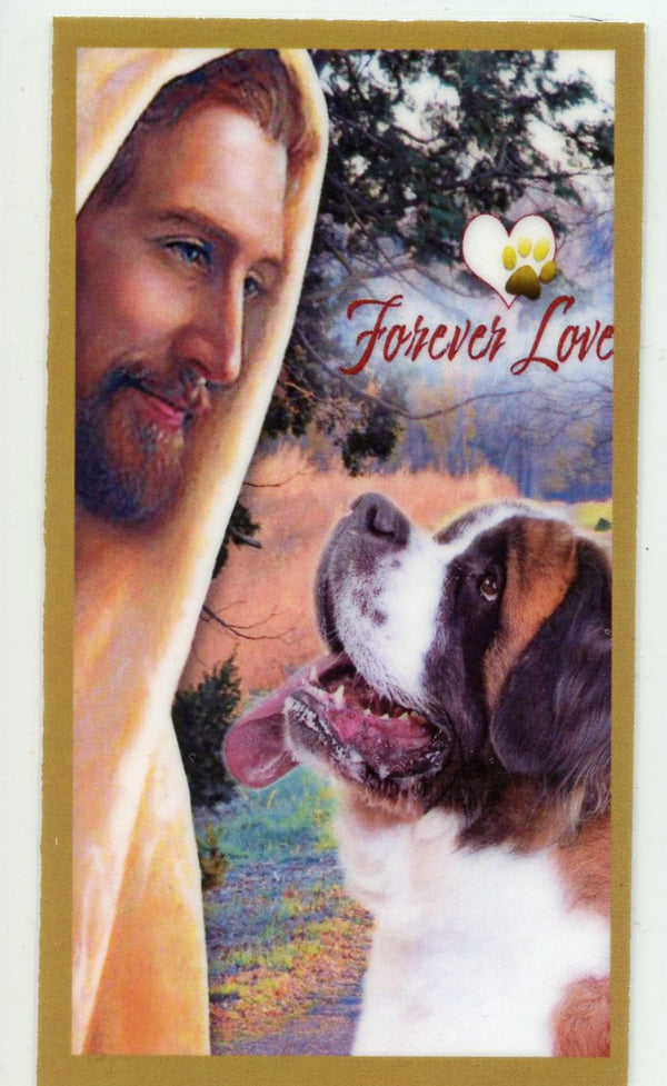 Prayer for the Loss of Your Saint Bernard U - LAMINATED HOLY CARDS- QUANTITY 25 PRAYER CARDS