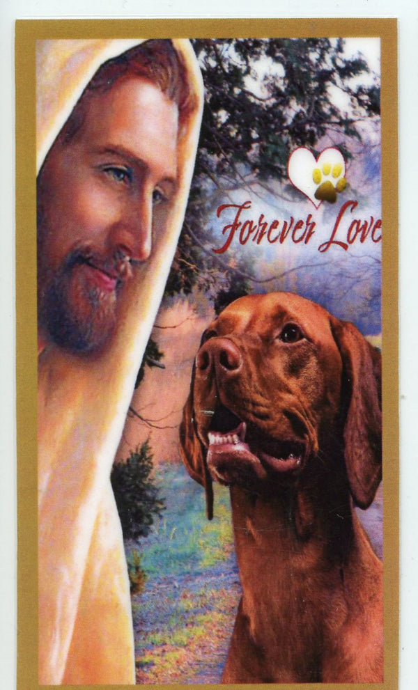 Prayer for the Loss of Your Vizsla U - LAMINATED HOLY CARDS- QUANTITY 25 PRAYER CARDS