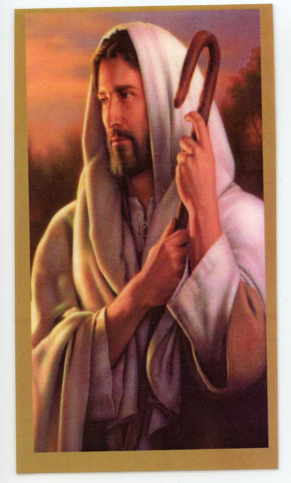 Prayer for Appendicitis U - LAMINATED HOLY CARDS- QUANTITY 25 PRAYER CARDS