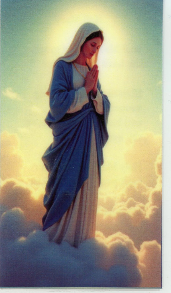 Hail Mary U- LAMINATED HOLY CARDS- QUANTITY 25 PRAYER CARDS (Copy)