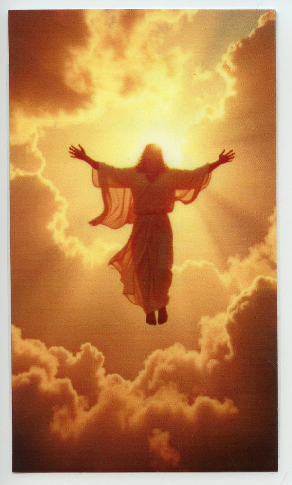 I Am The Resurrection 2- LAMINATED HOLY CARDS- QUANTITY 25 PRAYER CARDS (Copy)