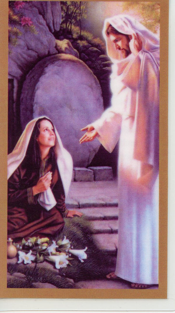 A Prayer for Mary U - LAMINATED HOLY CARDS- QUANTITY 25 PRAYER CARDS