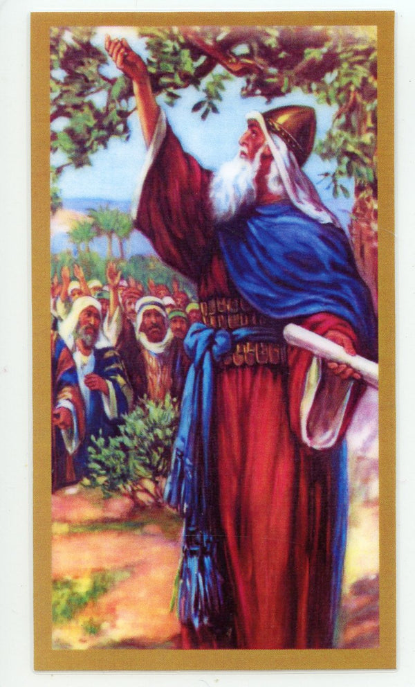 A Prayer for Joshua U - LAMINATED HOLY CARDS- QUANTITY 25 PRAYER CARDS
