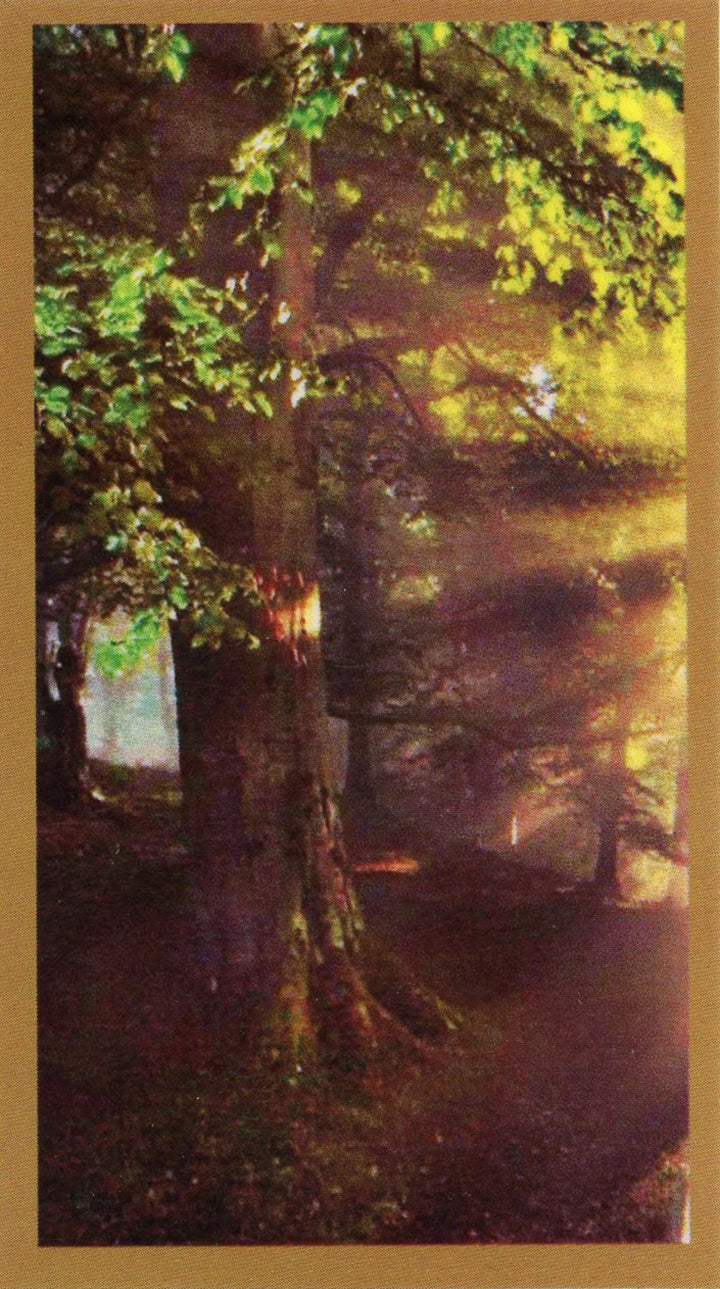 memorial tree planting prayer The Glory Be Funeral Memorial Laminated Prayer Cards - Pack of 60