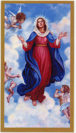 Hail Mary Funeral Memorial Laminated Prayer Cards - Pack of 60