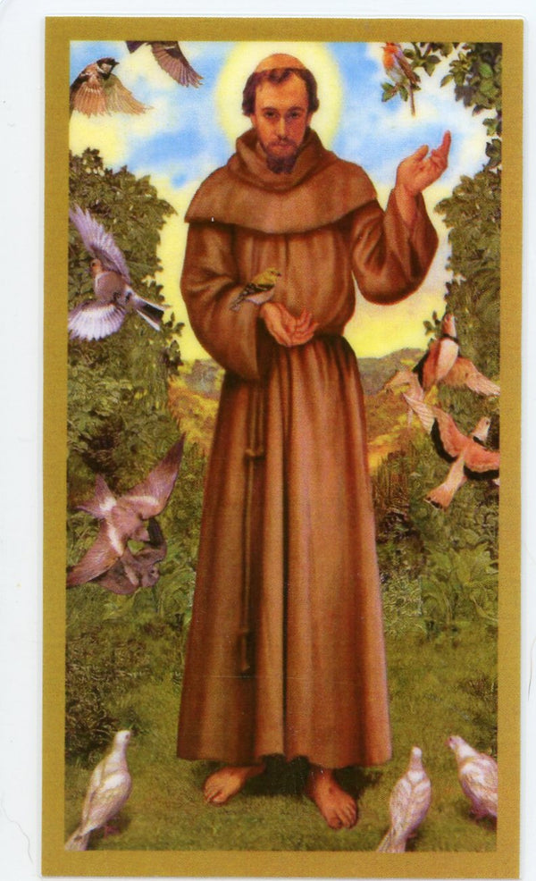 Prayer to Saint Francis for the Care of Our Earth U - LAMINATED HOLY CARDS- QUANTITY 25 PRAYER CARDS