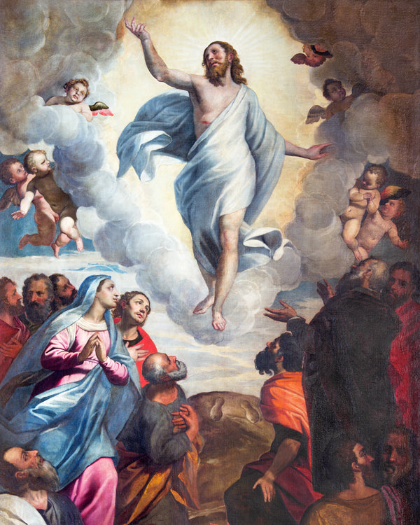 ASCENSION SH1 - CATHOLIC PRINTS PICTURES