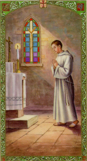 Altar Server N - LAMINATED HOLY CARDS- QUANTITY 25 PRAYER CARDS