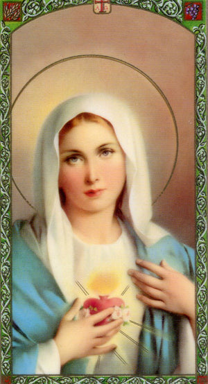Ave Maria N - LAMINATED HOLY CARDS- QUANTITY 25 PRAYER CARDS