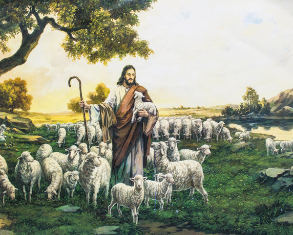 GOOD SHEPHERD SH - CATHOLIC PRINTS PICTURES