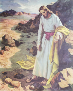 JESUS SH20 - CATHOLIC PRINTS PICTURES