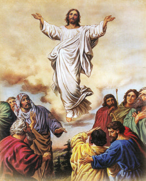 Jesus Ascends into Heaven T - CATHOLIC PRINTS PICTURES