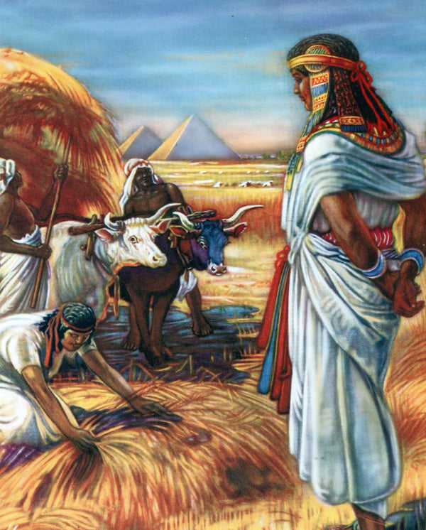 Joseph Saves His People C - CATHOLIC PRINTS PICTURES