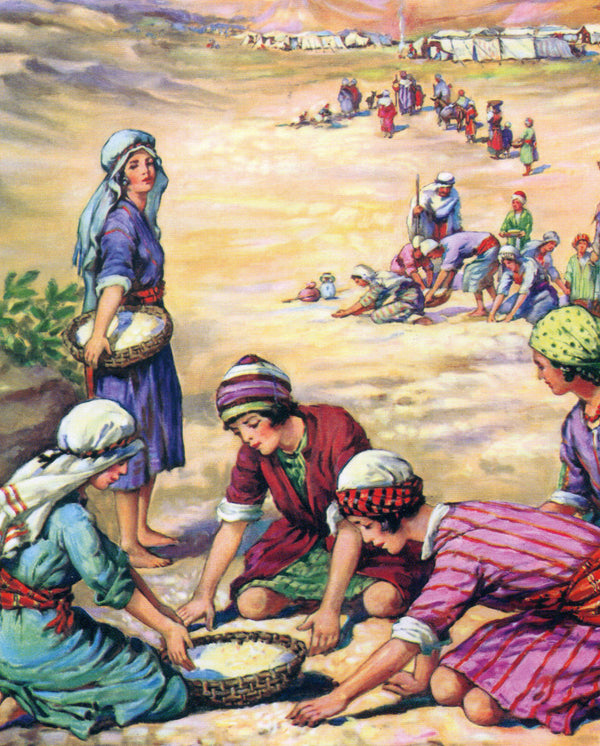 Manna in the Desert C - CATHOLIC PRINTS PICTURES