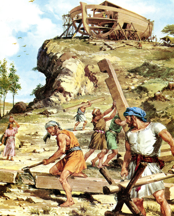 Noah and the Ark T - CATHOLIC PRINTS PICTURES