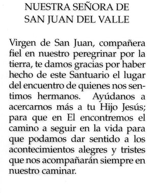 Nuestra Senora de San Juan del Valle N - LAMINATED HOLY CARDS- QUANTITY 25 PRAYER CARDS