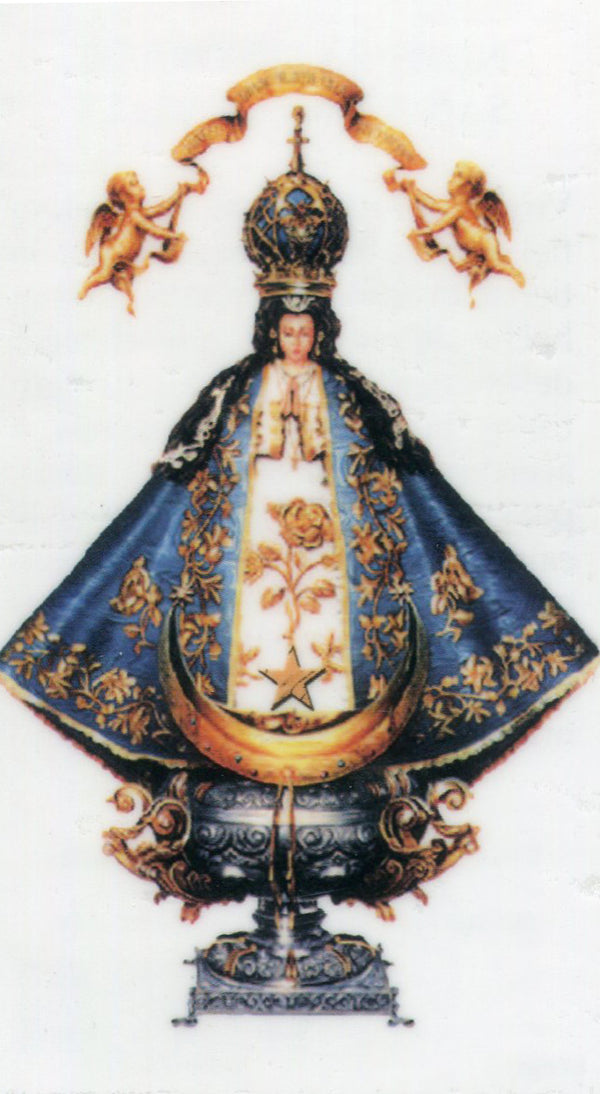 Nuestra Senora de San Juan del Valle N - LAMINATED HOLY CARDS- QUANTITY 25 PRAYER CARDS