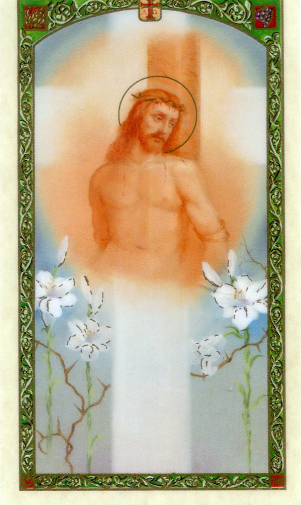 Passion of Christ N - LAMINATED HOLY CARDS- QUANTITY 25 PRAYER CARDS