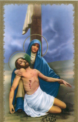 Pieta N - LAMINATED HOLY CARDS- QUANTITY 25 PRAYER CARDS