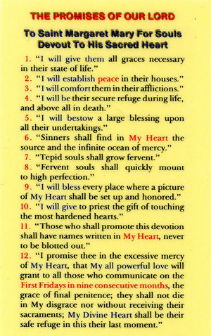 The Promises of Our Lord N - LAMINATED HOLY CARDS- QUANTITY 25 PRAYER CARDS