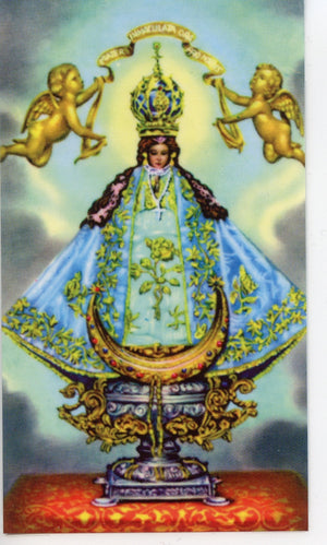 OUR LADY OF SAN JUAN- LAMINATED HOLY CARDS- QUANTITY 25 PRAYER CARDS