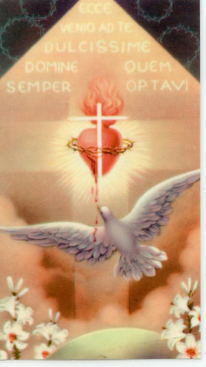PRAYER TO THE HOLY SPIRIT - LAMINATED HOLY CARDS- QUANTITY 25 CARDS