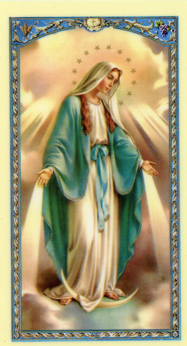 PRAYER FOR GRACE TO OUR LADY  - LAMINATED HOLY CARDS- QUANTITY 25 PRAYER CARDS