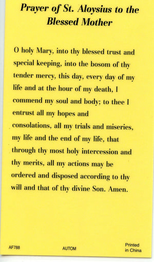 ST. ALOYSIUS  - LAMINATED HOLY CARDS- QUANTITY 25 PRAYER CARDS