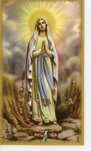 QUEEN OF THE MOST HOLY ROSARY  - LAMINATED HOLY CARDS- QUANTITY 25 PRAYER CARDS