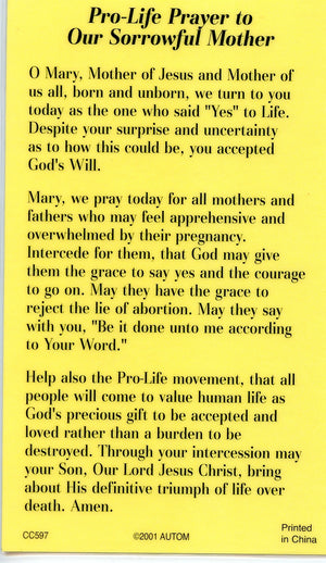 PRO LIFE PRAYER  - LAMINATED HOLY CARDS- QUANTITY 25 PRAYER CARDS